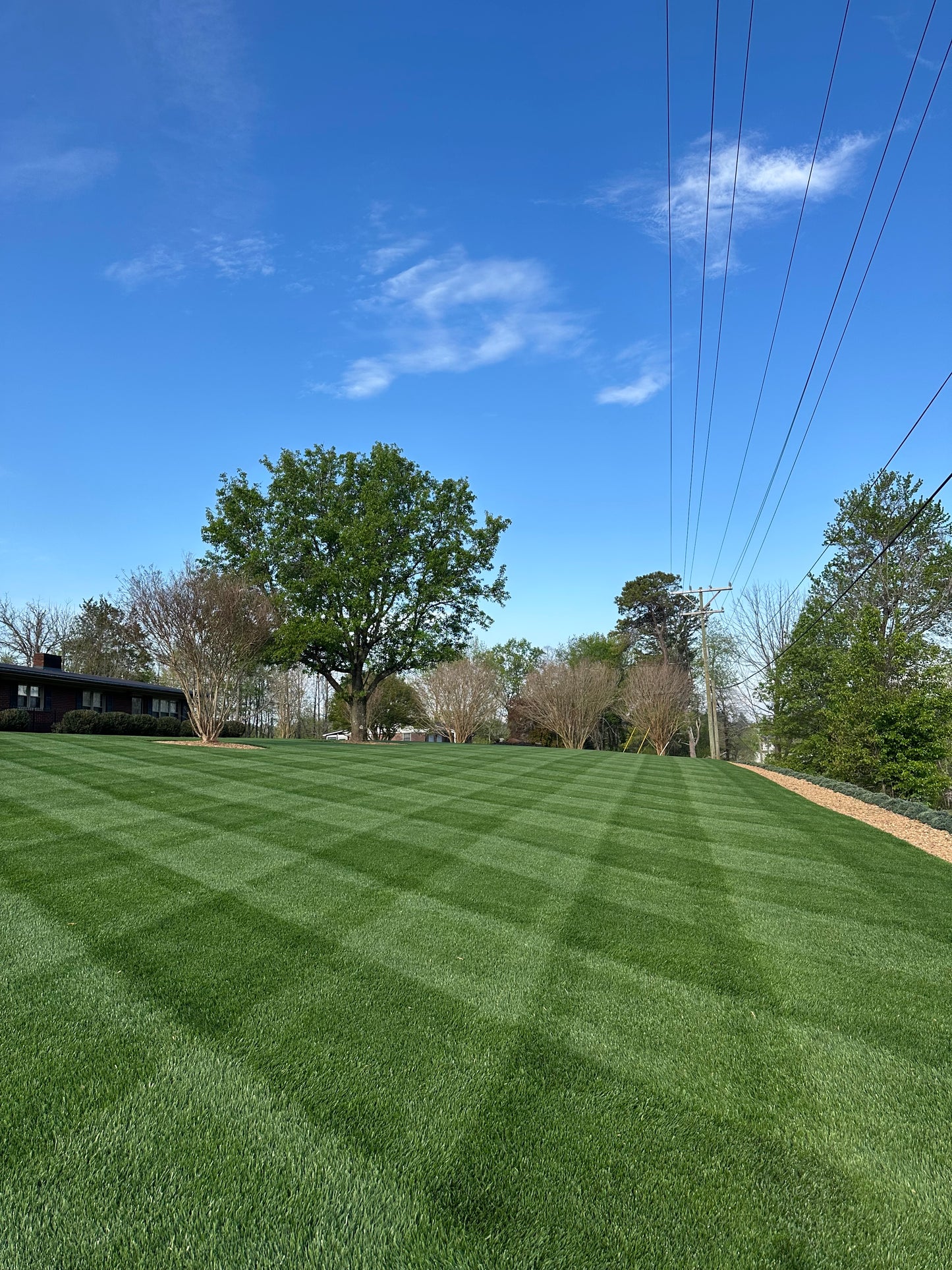 PrimeTime Fescue Lawn Guide