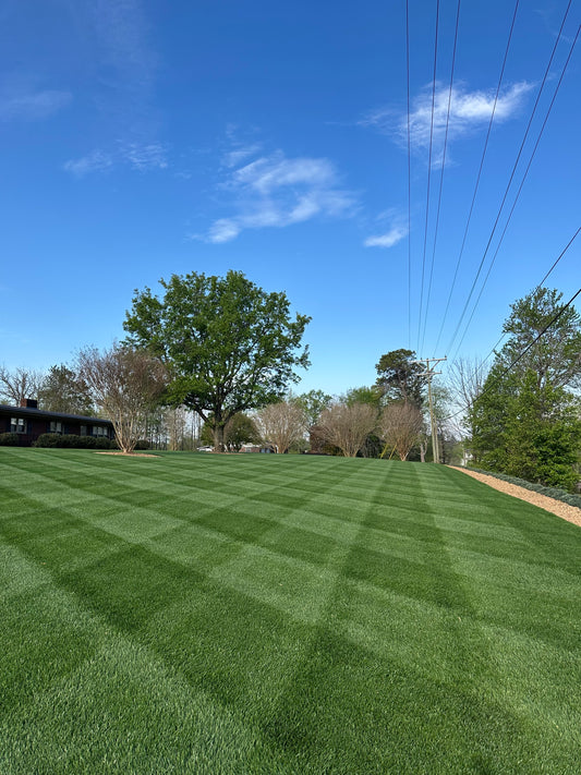PrimeTime Fescue Lawn Guide